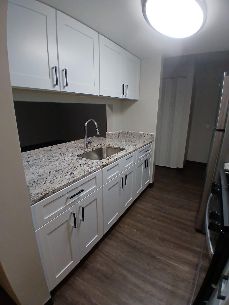 Langley-Square-Updated-Kitchen-SGranite-Counters